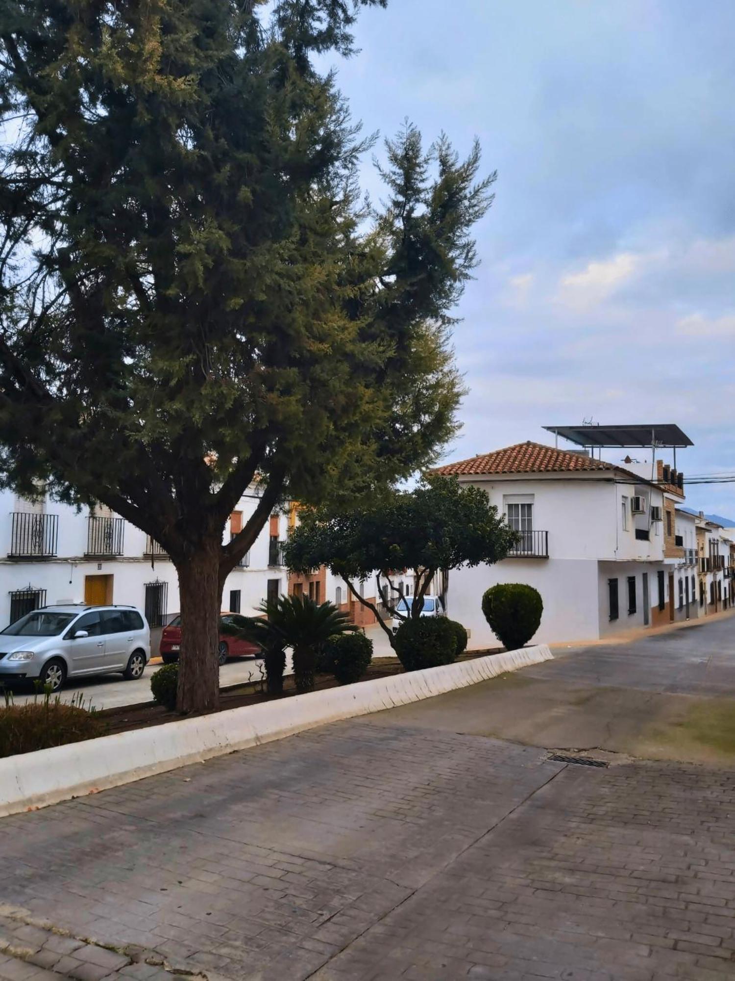 Arcadia Centro De Andalucia * Encinas Reales
